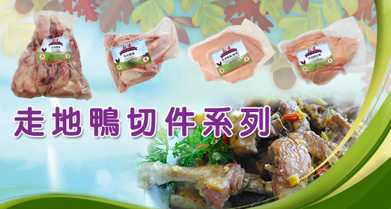 duck products banner