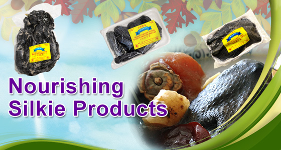 new products banner