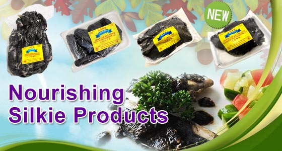 new products banner